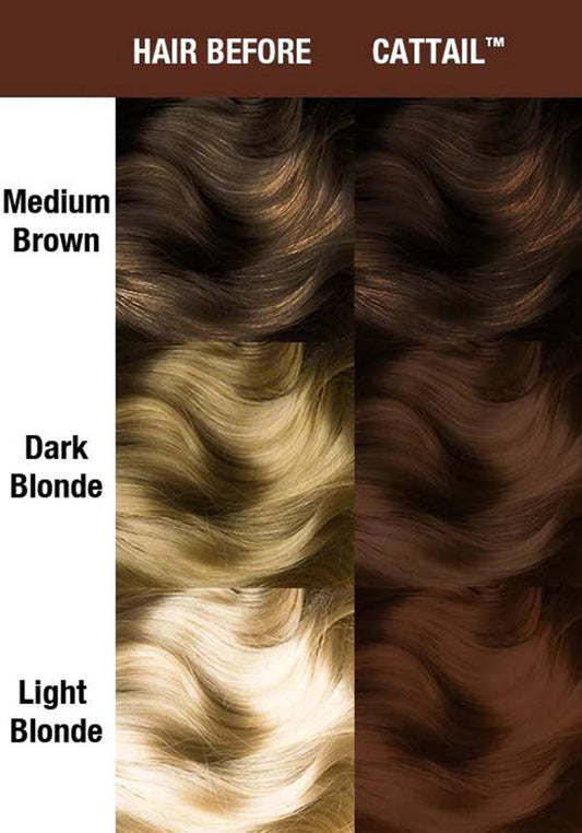 Cattail ®- Supernaturals - Amplified™