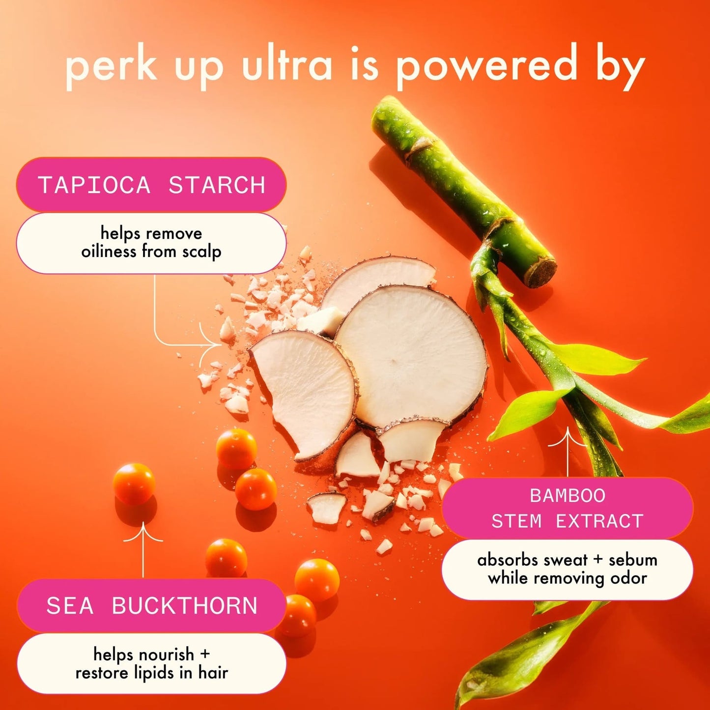 Amika Perk Up Ultra Oil Control Dry Shampoo 150g/250ml