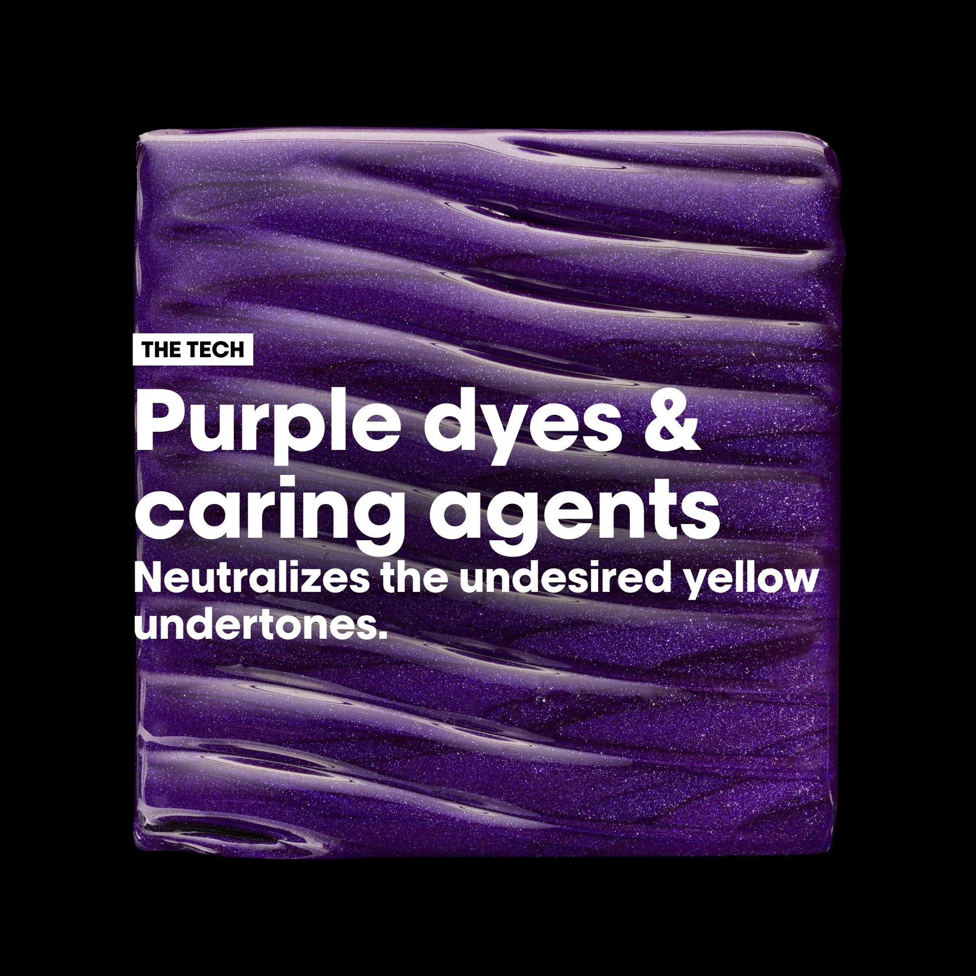 L'Oreal Professionnel Color Spectrum Purple Shampoo and Conditioner Duo Bundle
