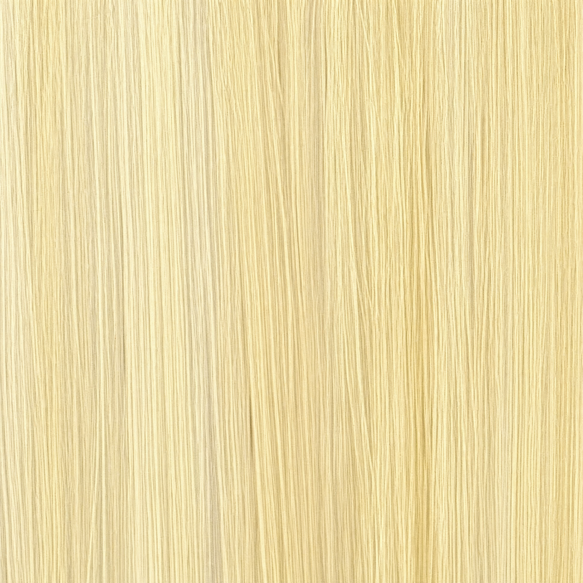 MUVO Creamy Blonde Shampoo 500ml — — Image 2